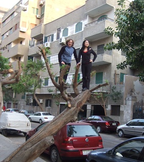 CairoAngieAliceConqueringTree